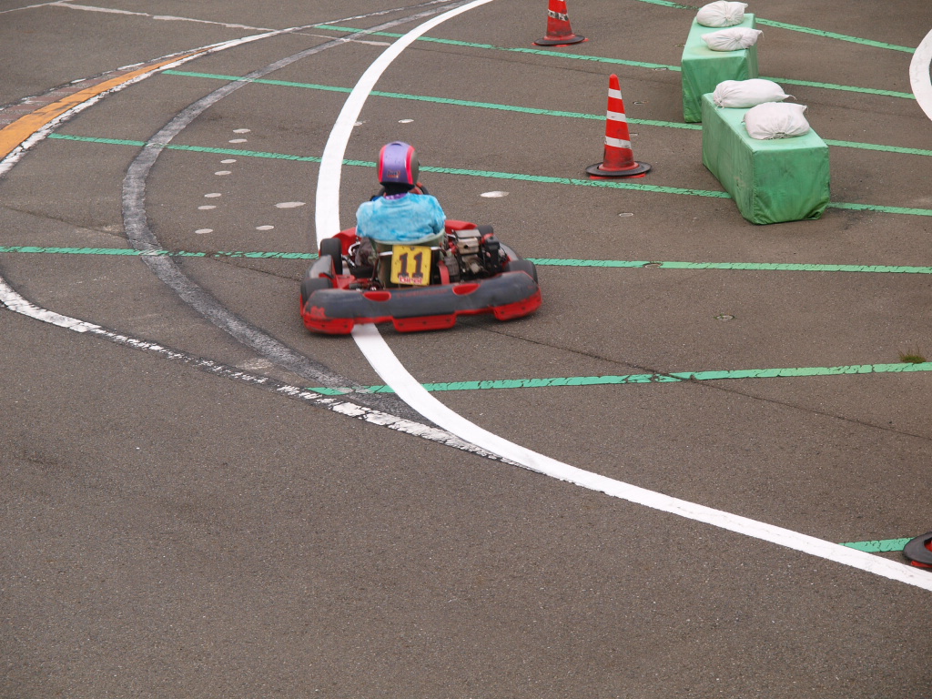 P6082027