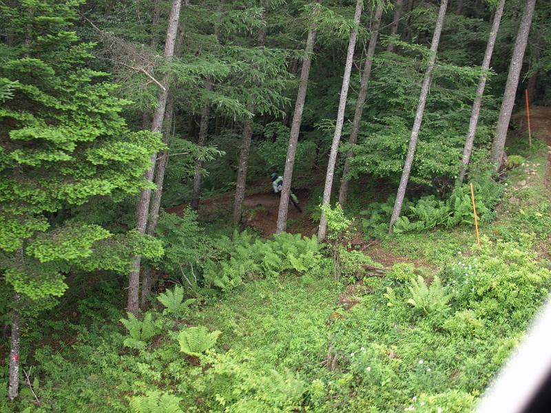 P7272686