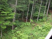 P7272686