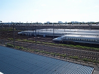P9060439 