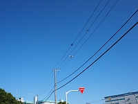 P9060444 
