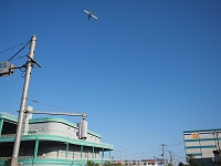 P9060453 