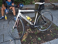 P9060445 