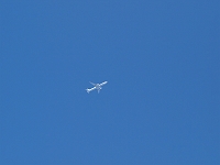 P4267974