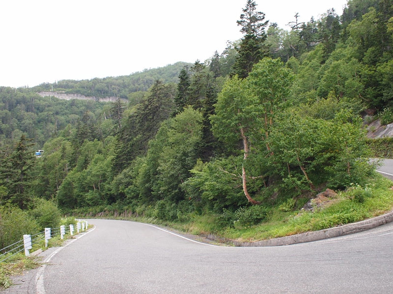 P8280306