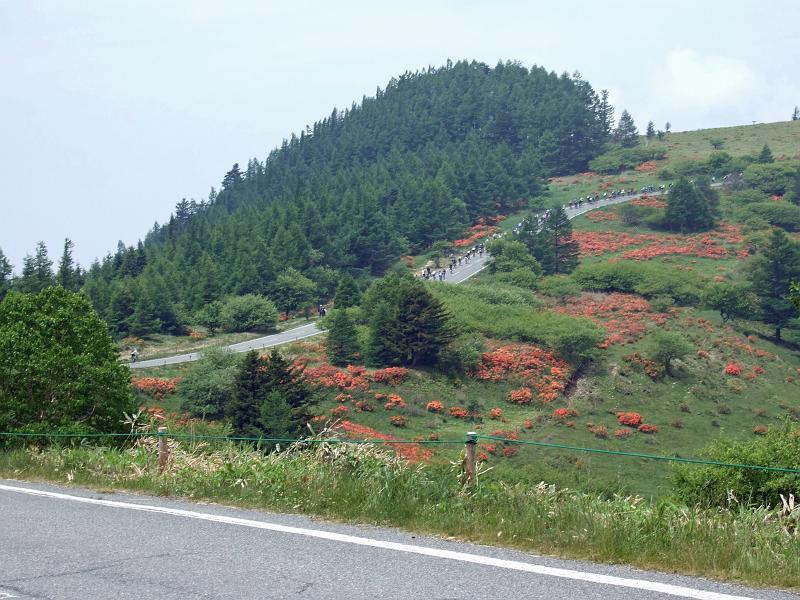 DSCF0969