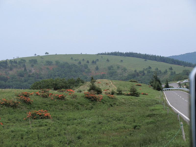 P6277066