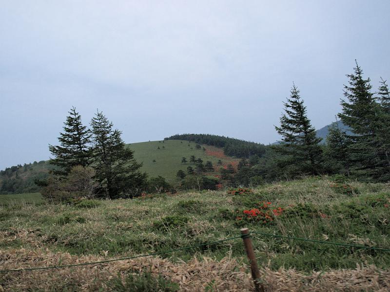 P6277069