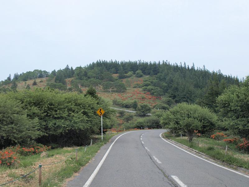 P6277071