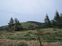 P6277069