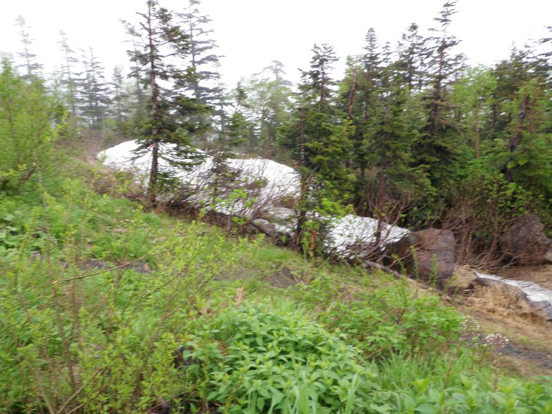 P6280042