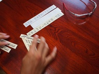 P8282538 