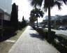 dscf0731.jpg