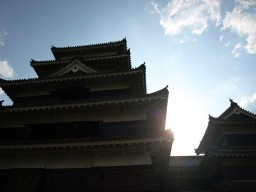p6287124 p6287124