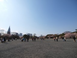P4032430