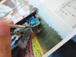 P9052631