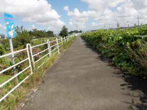 境川CR
