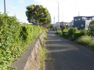 引地川